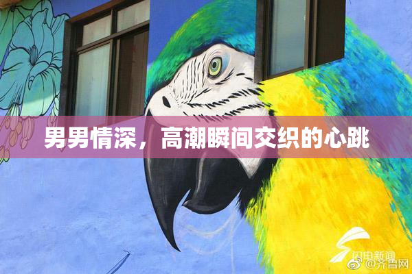 男男情深，高潮瞬间交织的心跳