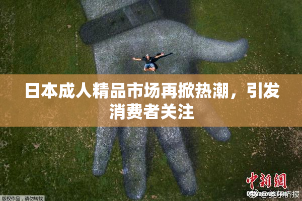 日本成人精品市场再掀热潮，引发消费者关注