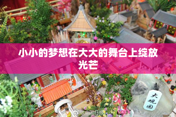小小的梦想在大大的舞台上绽放光芒