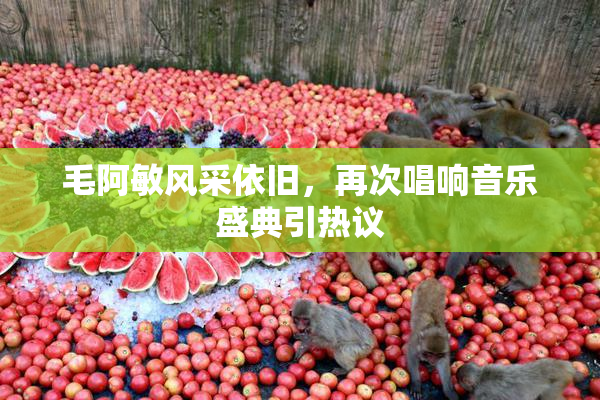毛阿敏风采依旧，再次唱响音乐盛典引热议