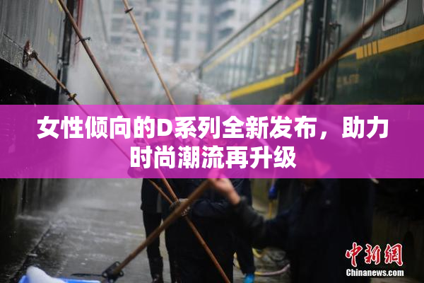 女性倾向的D系列全新发布，助力时尚潮流再升级