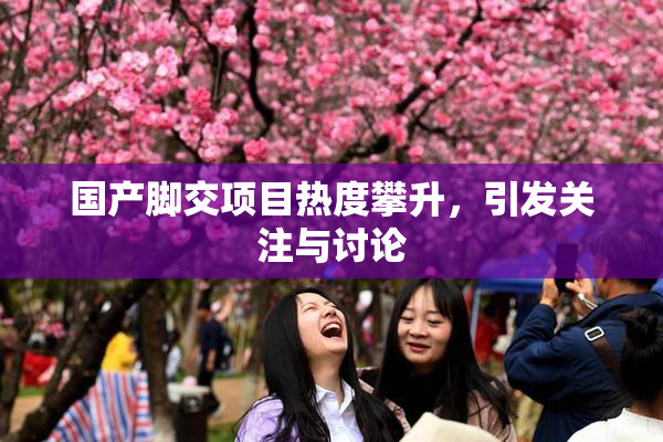 国产脚交项目热度攀升，引发关注与讨论