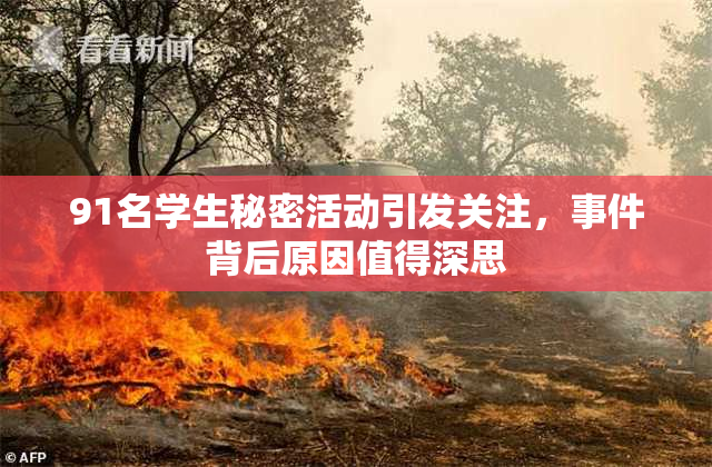 91名学生秘密活动引发关注，事件背后原因值得深思