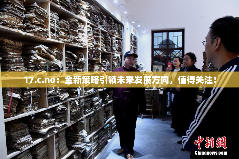 17.c.no：全新策略引领未来发展方向，值得关注！