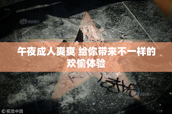 午夜成人爽爽 给你带来不一样的欢愉体验