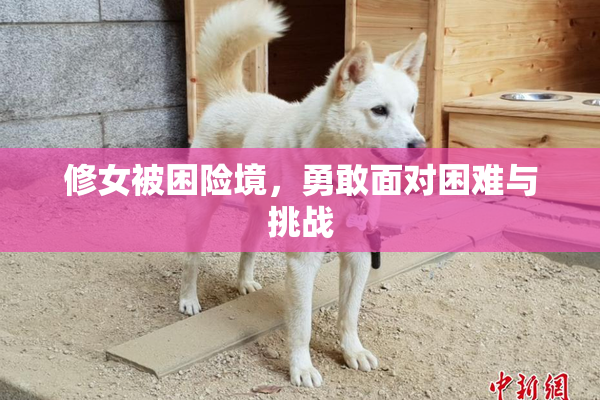修女被困险境，勇敢面对困难与挑战