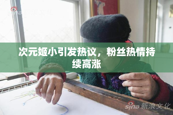 次元姬小引发热议，粉丝热情持续高涨