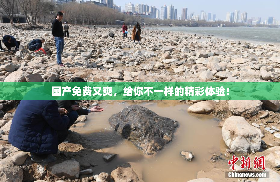 国产免费又爽，给你不一样的精彩体验！