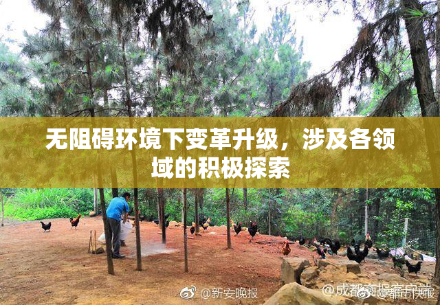 无阻碍环境下变革升级，涉及各领域的积极探索