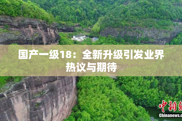 国产一级18：全新升级引发业界热议与期待
