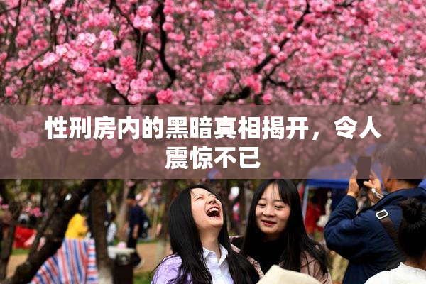 性刑房内的黑暗真相揭开，令人震惊不已