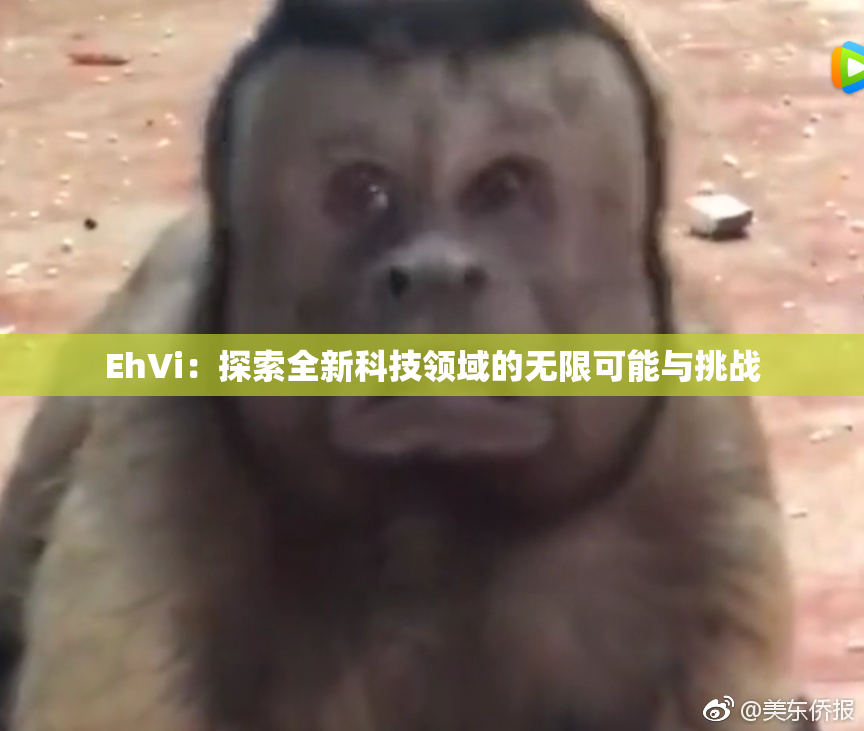 EhVi：探索全新科技领域的无限可能与挑战
