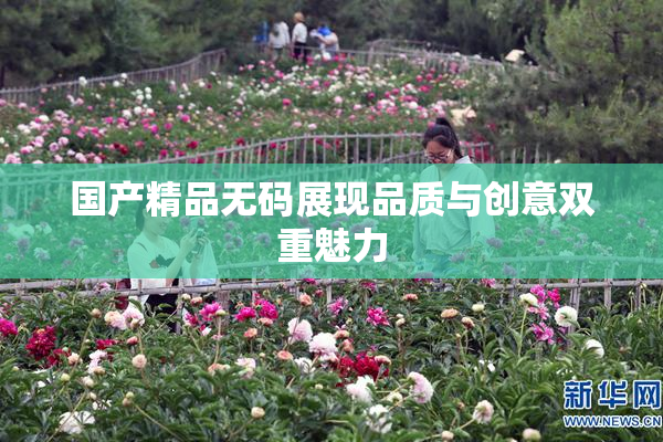 国产精品无码展现品质与创意双重魅力