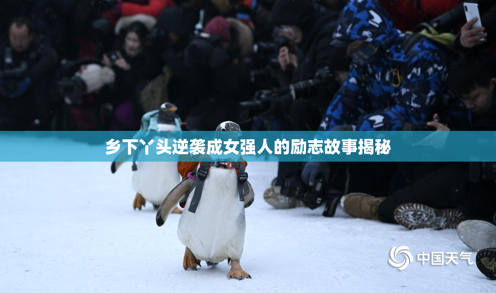 乡下丫头逆袭成女强人的励志故事揭秘