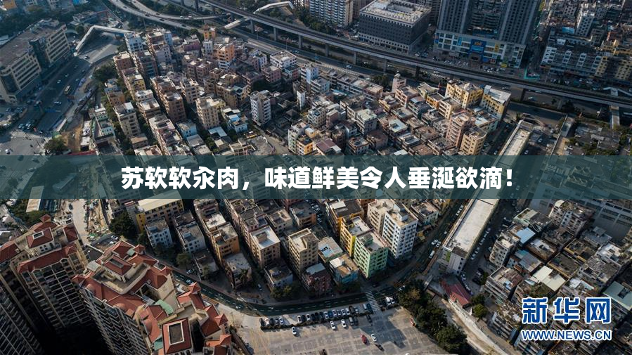 苏软软汆肉，味道鲜美令人垂涎欲滴！