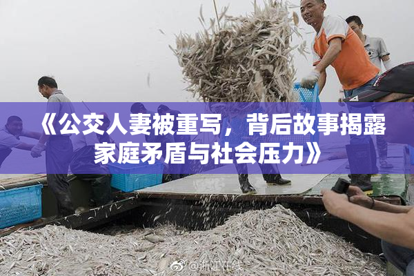 《公交人妻被重写，背后故事揭露家庭矛盾与社会压力》