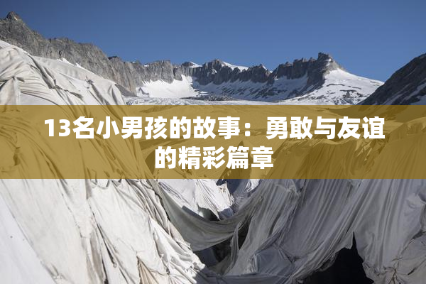 13名小男孩的故事：勇敢与友谊的精彩篇章