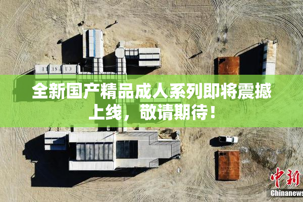 全新国产精品成人系列即将震撼上线，敬请期待！