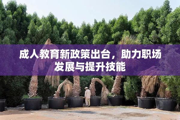 成人教育新政策出台，助力职场发展与提升技能