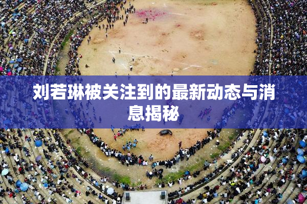 刘若琳被关注到的最新动态与消息揭秘
