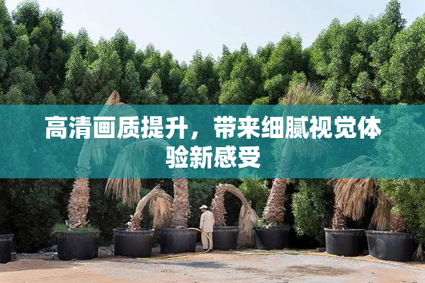 高清画质提升，带来细腻视觉体验新感受