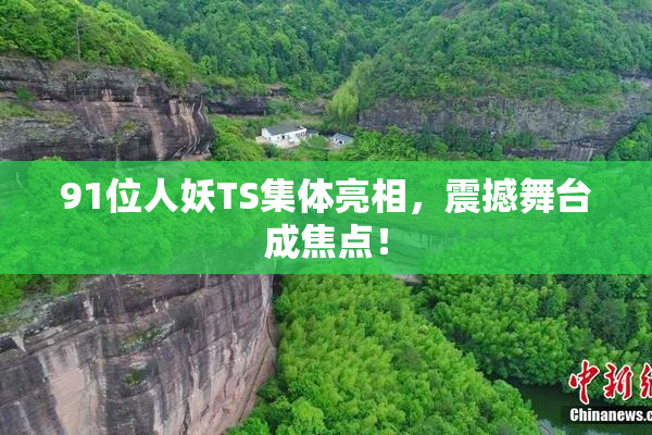 91位人妖TS集体亮相，震撼舞台成焦点！