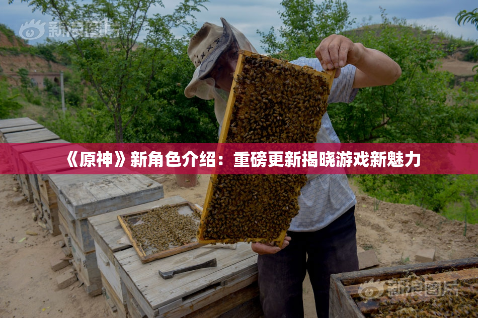 《原神》新角色介绍：重磅更新揭晓游戏新魅力