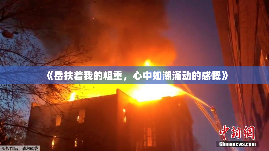 《岳扶着我的粗重，心中如潮涌动的感慨》