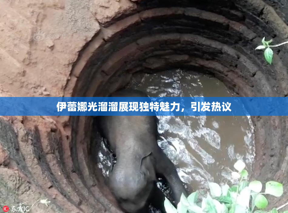 伊蕾娜光溜溜展现独特魅力，引发热议