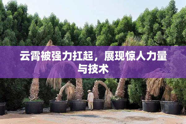 云霄被强力扛起，展现惊人力量与技术