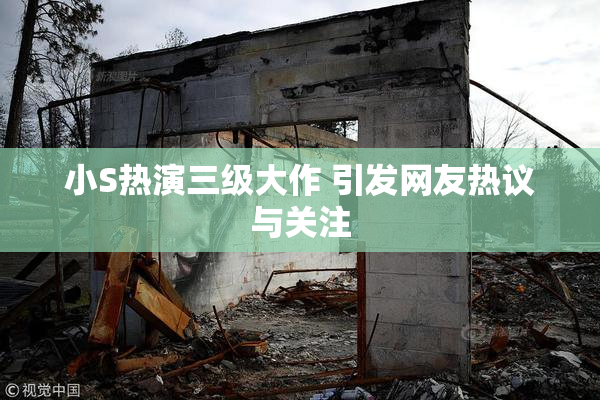 小S热演三级大作 引发网友热议与关注