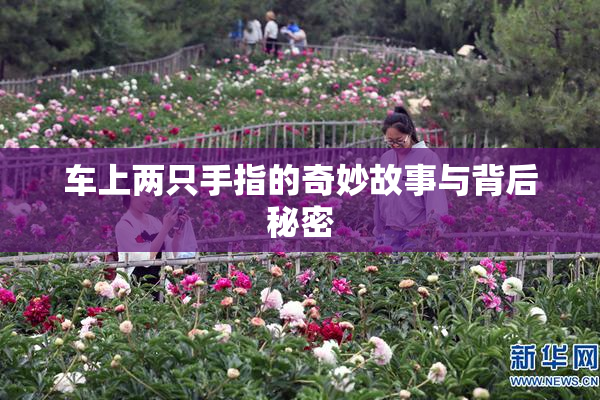 车上两只手指的奇妙故事与背后秘密