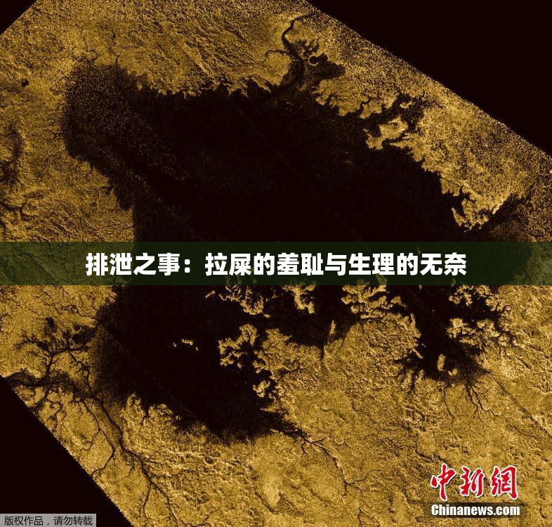 排泄之事：拉屎的羞耻与生理的无奈