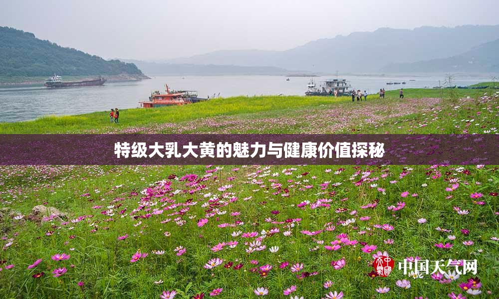 特级大乳大黄的魅力与健康价值探秘