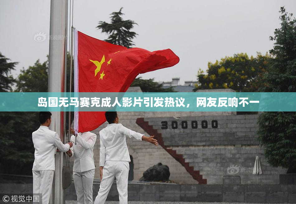 岛国无马赛克成人影片引发热议，网友反响不一