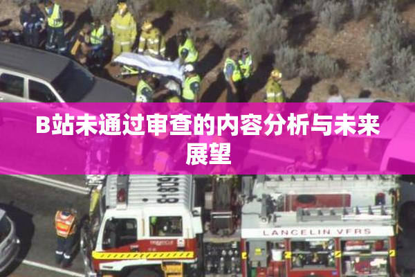 B站未通过审查的内容分析与未来展望