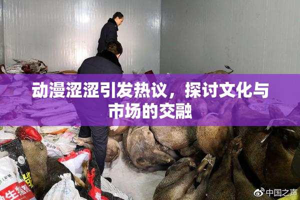 动漫涩涩引发热议，探讨文化与市场的交融