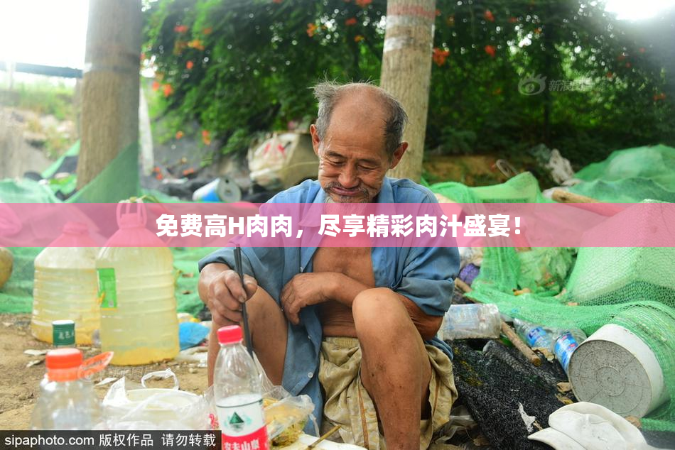 免费高H肉肉，尽享精彩肉汁盛宴！