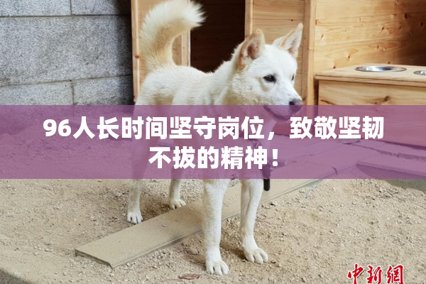 96人长时间坚守岗位，致敬坚韧不拔的精神！