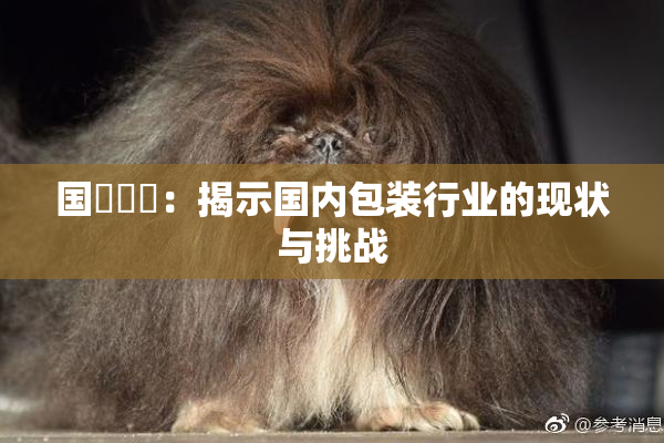 国產梱綁：揭示国内包装行业的现状与挑战