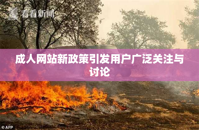 成人网站新政策引发用户广泛关注与讨论