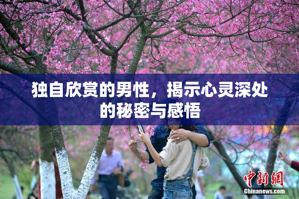 独自欣赏的男性，揭示心灵深处的秘密与感悟