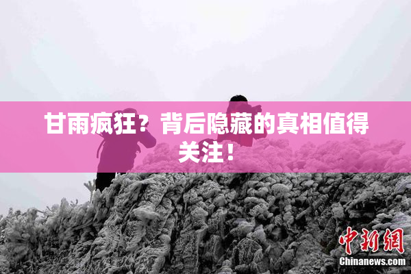 甘雨疯狂？背后隐藏的真相值得关注！