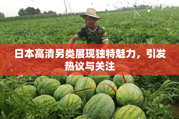 日本高清另类展现独特魅力，引发热议与关注