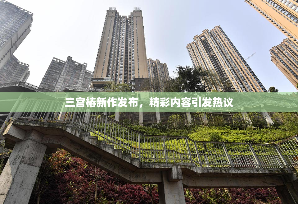 三宫椿新作发布，精彩内容引发热议