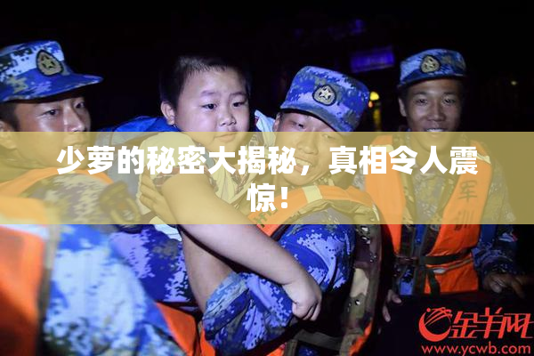 少萝的秘密大揭秘，真相令人震惊！