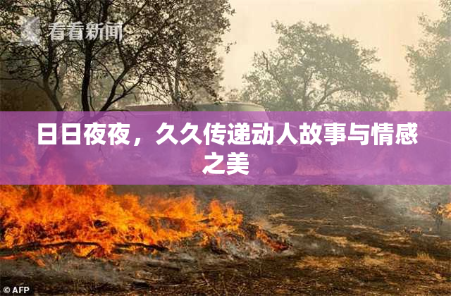 日日夜夜，久久传递动人故事与情感之美