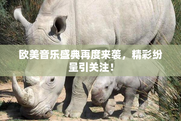 欧美音乐盛典再度来袭，精彩纷呈引关注！