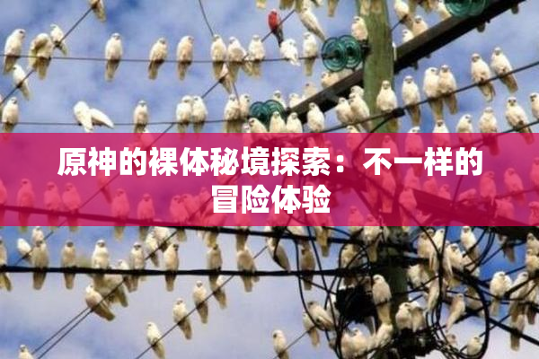 原神的裸体秘境探索：不一样的冒险体验