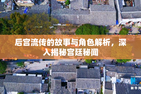 后宫流传的故事与角色解析，深入揭秘宫廷秘闻